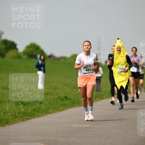10.05.2026 - 8. Wedeler Halbmarathon Dr. Thomas Lammeyer http://msf.ph/oto/9703583 10.05.2026 11:50:27 Laufen 491, 257 meine-sportfotos.de