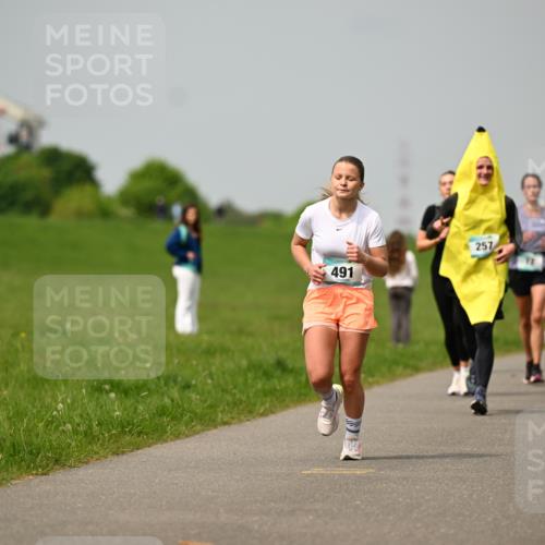 10.05.2026 - 8. Wedeler Halbmarathon Dr. Thomas Lammeyer http://msf.ph/oto/9703585 10.05.2026 11:50:28 Laufen 491, 257 meine-sportfotos.de