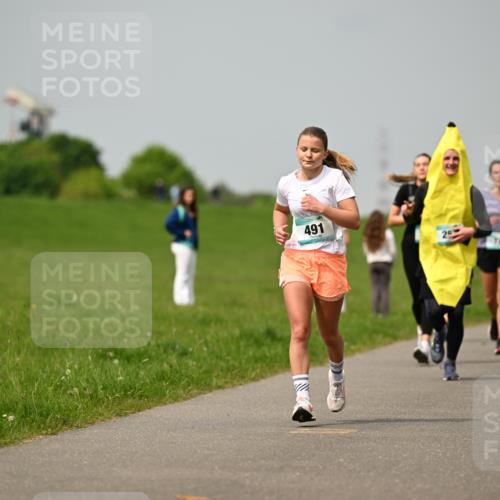 10.05.2026 - 8. Wedeler Halbmarathon Dr. Thomas Lammeyer http://msf.ph/oto/9703587 10.05.2026 11:50:28 Laufen 491 meine-sportfotos.de