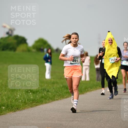 10.05.2026 - 8. Wedeler Halbmarathon Dr. Thomas Lammeyer http://msf.ph/oto/9703595 10.05.2026 11:50:28 Laufen 491, 257 meine-sportfotos.de