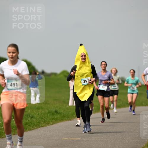 10.05.2026 - 8. Wedeler Halbmarathon Dr. Thomas Lammeyer http://msf.ph/oto/9703602 10.05.2026 11:50:30 Laufen 491, 257, 281 meine-sportfotos.de