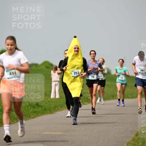 10.05.2026 - 8. Wedeler Halbmarathon Dr. Thomas Lammeyer http://msf.ph/oto/9703605 10.05.2026 11:50:29 Laufen 491, 257, 281 meine-sportfotos.de