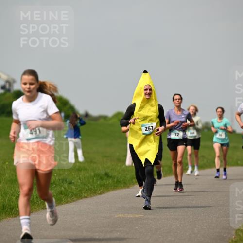 10.05.2026 - 8. Wedeler Halbmarathon Dr. Thomas Lammeyer http://msf.ph/oto/9703608 10.05.2026 11:50:30 Laufen 491, 257, 281 meine-sportfotos.de