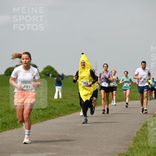 10.05.2026 - 8. Wedeler Halbmarathon Dr. Thomas Lammeyer http://msf.ph/oto/9703615 10.05.2026 11:50:30 Laufen 257, 491, 281 meine-sportfotos.de