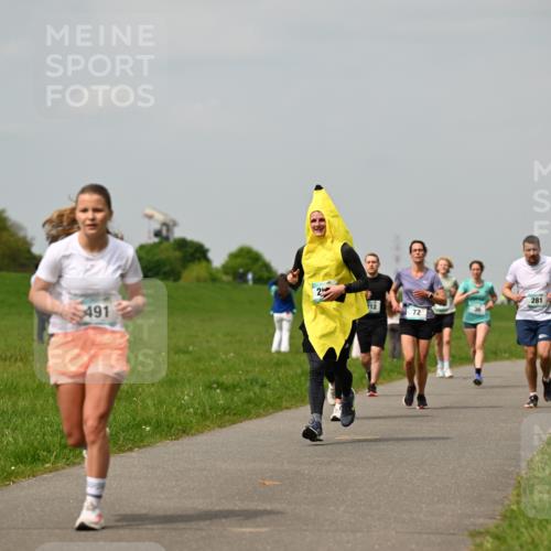 10.05.2026 - 8. Wedeler Halbmarathon Dr. Thomas Lammeyer http://msf.ph/oto/9703619 10.05.2026 11:50:31 Laufen 491, 281 meine-sportfotos.de
