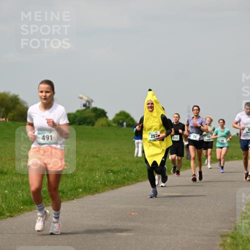 10.05.2026 - 8. Wedeler Halbmarathon Dr. Thomas Lammeyer http://msf.ph/oto/9703621 10.05.2026 11:50:31 Laufen 491, 257, 212, 281 meine-sportfotos.de