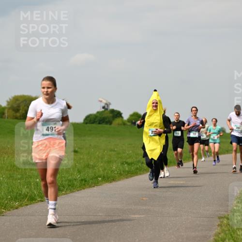10.05.2026 - 8. Wedeler Halbmarathon Dr. Thomas Lammeyer http://msf.ph/oto/9703623 10.05.2026 11:50:31 Laufen 212, 281 meine-sportfotos.de