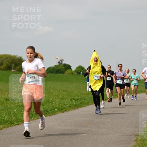 10.05.2026 - 8. Wedeler Halbmarathon Dr. Thomas Lammeyer http://msf.ph/oto/9703625 10.05.2026 11:50:31 Laufen 491, 257, 212, 281 meine-sportfotos.de