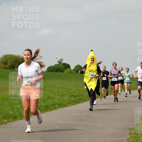 10.05.2026 - 8. Wedeler Halbmarathon Dr. Thomas Lammeyer http://msf.ph/oto/9703628 10.05.2026 11:50:31 Laufen 257, 281, 212 meine-sportfotos.de