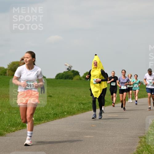 10.05.2026 - 8. Wedeler Halbmarathon Dr. Thomas Lammeyer http://msf.ph/oto/9703630 10.05.2026 11:50:31 Laufen 491, 212, 281 meine-sportfotos.de