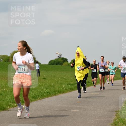 10.05.2026 - 8. Wedeler Halbmarathon Dr. Thomas Lammeyer http://msf.ph/oto/9703633 10.05.2026 11:50:32 Laufen 491, 212, 281 meine-sportfotos.de