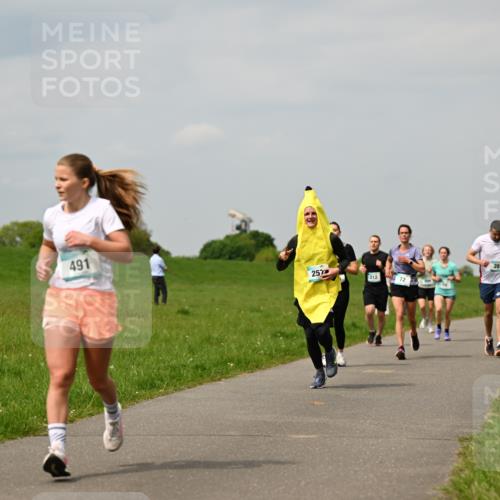 10.05.2026 - 8. Wedeler Halbmarathon Dr. Thomas Lammeyer http://msf.ph/oto/9703636 10.05.2026 11:50:32 Laufen 491, 257, 212, 281 meine-sportfotos.de