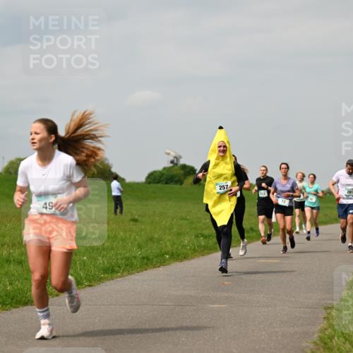 10.05.2026 - 8. Wedeler Halbmarathon Dr. Thomas Lammeyer http://msf.ph/oto/9703638 10.05.2026 11:50:32 Laufen 257, 212 meine-sportfotos.de