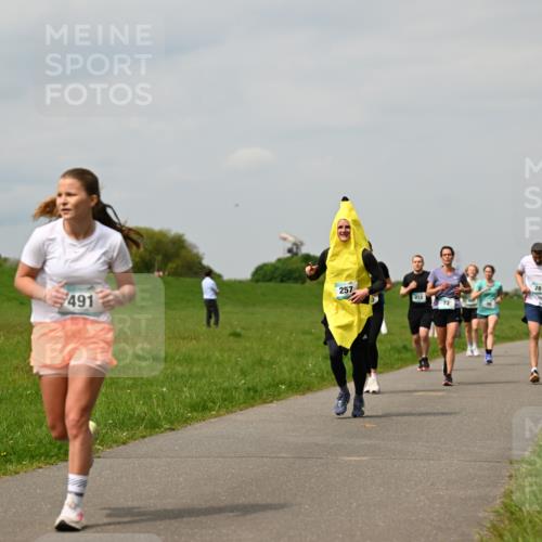 10.05.2026 - 8. Wedeler Halbmarathon Dr. Thomas Lammeyer http://msf.ph/oto/9703641 10.05.2026 11:50:32 Laufen 491, 257, 212, 281 meine-sportfotos.de