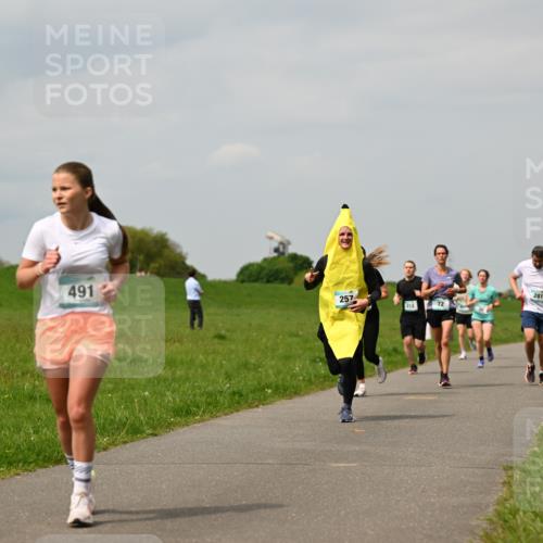 10.05.2026 - 8. Wedeler Halbmarathon Dr. Thomas Lammeyer http://msf.ph/oto/9703643 10.05.2026 11:50:32 Laufen 491, 257, 212, 281 meine-sportfotos.de