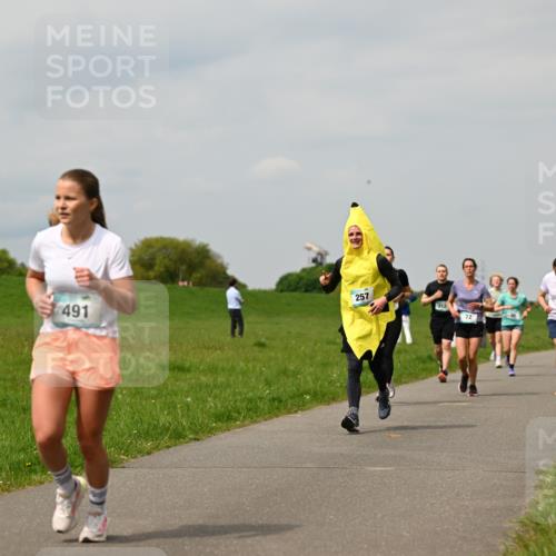 10.05.2026 - 8. Wedeler Halbmarathon Dr. Thomas Lammeyer http://msf.ph/oto/9703646 10.05.2026 11:50:32 Laufen 491, 257, 212, 281 meine-sportfotos.de