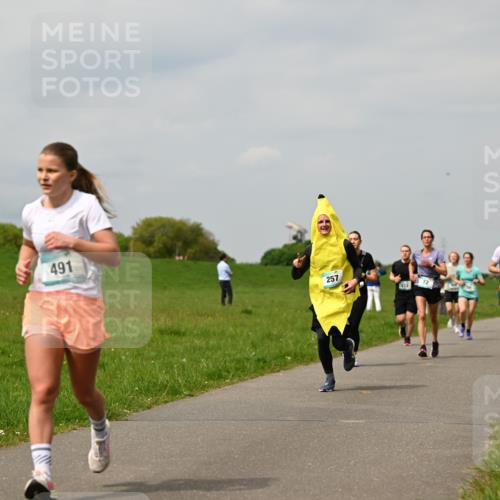 10.05.2026 - 8. Wedeler Halbmarathon Dr. Thomas Lammeyer http://msf.ph/oto/9703650 10.05.2026 11:50:32 Laufen 491, 257, 212, 281 meine-sportfotos.de