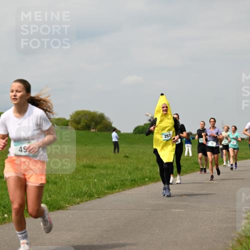 10.05.2026 - 8. Wedeler Halbmarathon Dr. Thomas Lammeyer http://msf.ph/oto/9703652 10.05.2026 11:50:33 Laufen 257, 212 meine-sportfotos.de