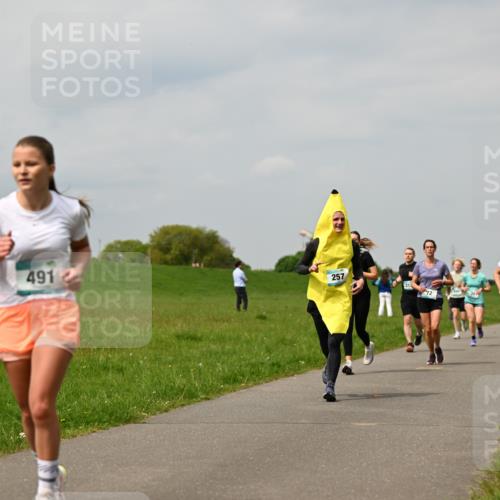 10.05.2026 - 8. Wedeler Halbmarathon Dr. Thomas Lammeyer http://msf.ph/oto/9703654 10.05.2026 11:50:33 Laufen 491, 257, 281 meine-sportfotos.de