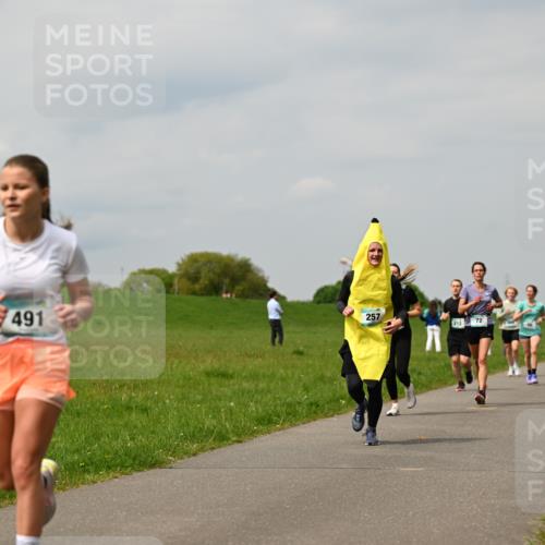 10.05.2026 - 8. Wedeler Halbmarathon Dr. Thomas Lammeyer http://msf.ph/oto/9703657 10.05.2026 11:50:33 Laufen 491, 257, 212, 281 meine-sportfotos.de