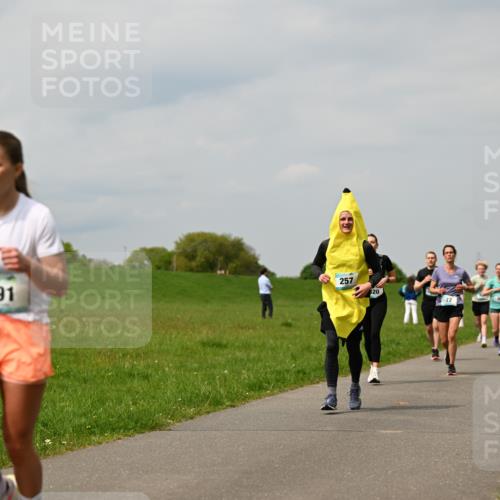 10.05.2026 - 8. Wedeler Halbmarathon Dr. Thomas Lammeyer http://msf.ph/oto/9703659 10.05.2026 11:50:33 Laufen 491, 257, 281 meine-sportfotos.de