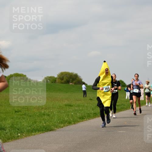 10.05.2026 - 8. Wedeler Halbmarathon Dr. Thomas Lammeyer http://msf.ph/oto/9703660 10.05.2026 11:50:33 Laufen 257, 281 meine-sportfotos.de