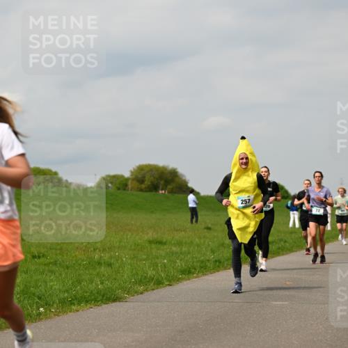 10.05.2026 - 8. Wedeler Halbmarathon Dr. Thomas Lammeyer http://msf.ph/oto/9703663 10.05.2026 11:50:33 Laufen 491, 257, 281 meine-sportfotos.de