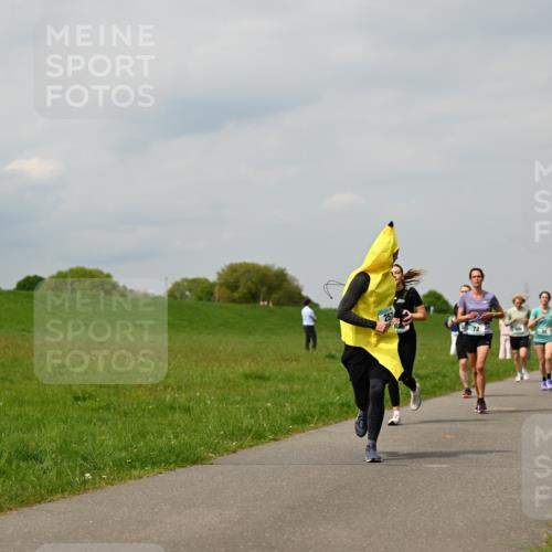 10.05.2026 - 8. Wedeler Halbmarathon Dr. Thomas Lammeyer http://msf.ph/oto/9703667 10.05.2026 11:50:33 Laufen 281 meine-sportfotos.de
