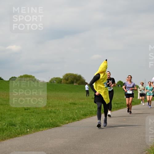 10.05.2026 - 8. Wedeler Halbmarathon Dr. Thomas Lammeyer http://msf.ph/oto/9703671 10.05.2026 11:50:34 Laufen 820, 281 meine-sportfotos.de