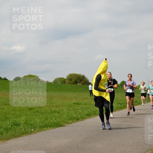 10.05.2026 - 8. Wedeler Halbmarathon Dr. Thomas Lammeyer http://msf.ph/oto/9703679 10.05.2026 11:50:34 Laufen 281 meine-sportfotos.de