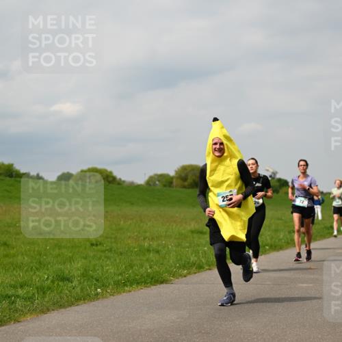 10.05.2026 - 8. Wedeler Halbmarathon Dr. Thomas Lammeyer http://msf.ph/oto/9703684 10.05.2026 11:50:35 Laufen 281 meine-sportfotos.de
