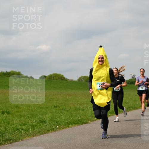 10.05.2026 - 8. Wedeler Halbmarathon Dr. Thomas Lammeyer http://msf.ph/oto/9703695 10.05.2026 11:50:35 Laufen 281 meine-sportfotos.de
