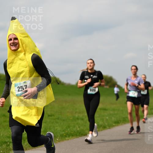 10.05.2026 - 8. Wedeler Halbmarathon Dr. Thomas Lammeyer http://msf.ph/oto/9703706 10.05.2026 11:50:36 Laufen 257, 820 meine-sportfotos.de