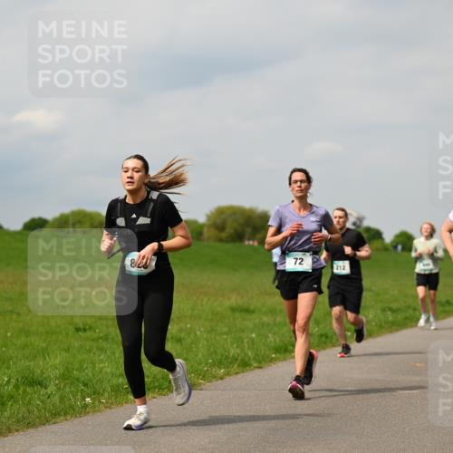 10.05.2026 - 8. Wedeler Halbmarathon Dr. Thomas Lammeyer http://msf.ph/oto/9703711 10.05.2026 11:50:37 Laufen 212, 281 meine-sportfotos.de