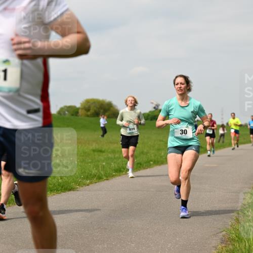 10.05.2026 - 8. Wedeler Halbmarathon Dr. Thomas Lammeyer http://msf.ph/oto/9703755 10.05.2026 11:50:40 Laufen 281, 899 meine-sportfotos.de