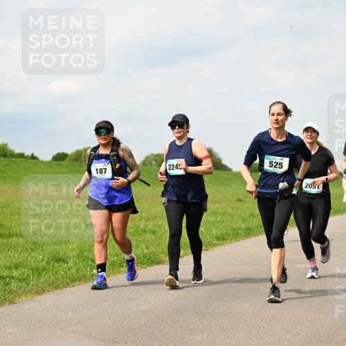 10.05.2026 - 8. Wedeler Halbmarathon Dr. Thomas Lammeyer http://msf.ph/oto/9704041 10.05.2026 11:51:05 Laufen 187, 2245, 525, 2052, 2051 meine-sportfotos.de