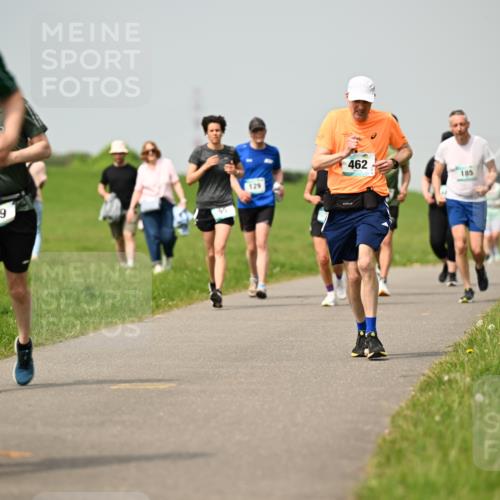 10.05.2026 - 8. Wedeler Halbmarathon Dr. Thomas Lammeyer http://msf.ph/oto/9704927 10.05.2026 11:52:54 Laufen 419, 129, 269, 462, 185 meine-sportfotos.de