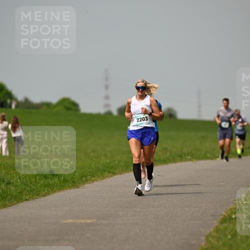 10.05.2026 - 8. Wedeler Halbmarathon Dr. Thomas Lammeyer http://msf.ph/oto/9705183 10.05.2026 11:53:24 Laufen 2203 meine-sportfotos.de