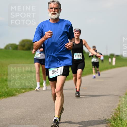 10.05.2026 - 8. Wedeler Halbmarathon Dr. Thomas Lammeyer http://msf.ph/oto/9705628 10.05.2026 11:55:04 Laufen 268, 2197 meine-sportfotos.de