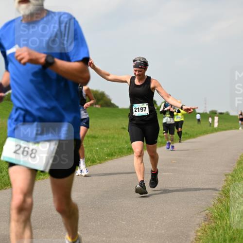 10.05.2026 - 8. Wedeler Halbmarathon Dr. Thomas Lammeyer http://msf.ph/oto/9705632 10.05.2026 11:55:05 Laufen 268, 2197 meine-sportfotos.de