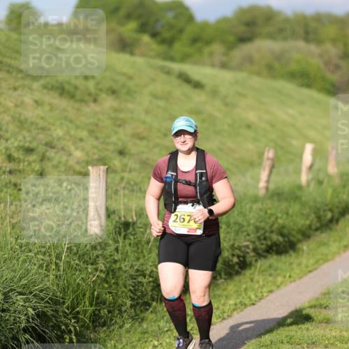 09.05.2026 - Störlauf Andreas Tolksdorf http://msf.ph/oto/9706935 09.05.2026 17:07:33 Laufen 267 meine-sportfotos.de