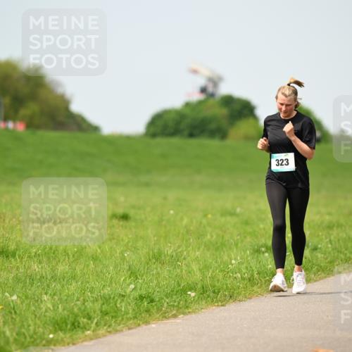 10.05.2026 - 8. Wedeler Halbmarathon Dr. Thomas Lammeyer http://msf.ph/oto/9708674 10.05.2026 12:01:40 Laufen 323, 322 meine-sportfotos.de