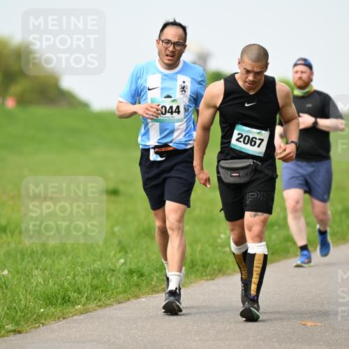 10.05.2026 - 8. Wedeler Halbmarathon Dr. Thomas Lammeyer http://msf.ph/oto/9709034 10.05.2026 12:02:26 Laufen 044, 2067 meine-sportfotos.de