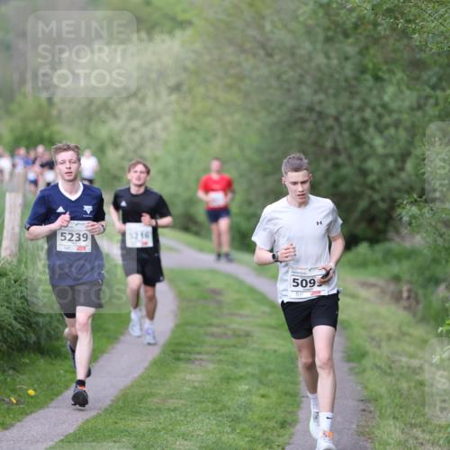 09.05.2026 - Störlauf Andreas Tolksdorf http://msf.ph/oto/9709655 09.05.2026 17:45:00 Laufen 5239, 2, 5216, 509 meine-sportfotos.de