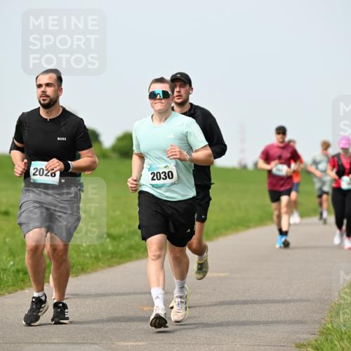 10.05.2026 - 8. Wedeler Halbmarathon Dr. Thomas Lammeyer http://msf.ph/oto/9710316 10.05.2026 12:04:40 Laufen 2028, 2030 meine-sportfotos.de