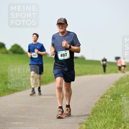 10.05.2026 - 8. Wedeler Halbmarathon Dr. Thomas Lammeyer http://msf.ph/oto/9710829 10.05.2026 12:05:16 Laufen 497 meine-sportfotos.de