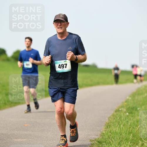 10.05.2026 - 8. Wedeler Halbmarathon Dr. Thomas Lammeyer http://msf.ph/oto/9710841 10.05.2026 12:05:17 Laufen 497 meine-sportfotos.de