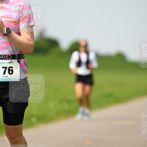 10.05.2026 - 8. Wedeler Halbmarathon Dr. Thomas Lammeyer http://msf.ph/oto/9711391 10.05.2026 12:06:20 Laufen 176 meine-sportfotos.de