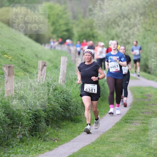 09.05.2026 - Störlauf Andreas Tolksdorf http://msf.ph/oto/9718007 09.05.2026 17:56:35 Laufen 4341, 4463, 253, 85, 4322 meine-sportfotos.de