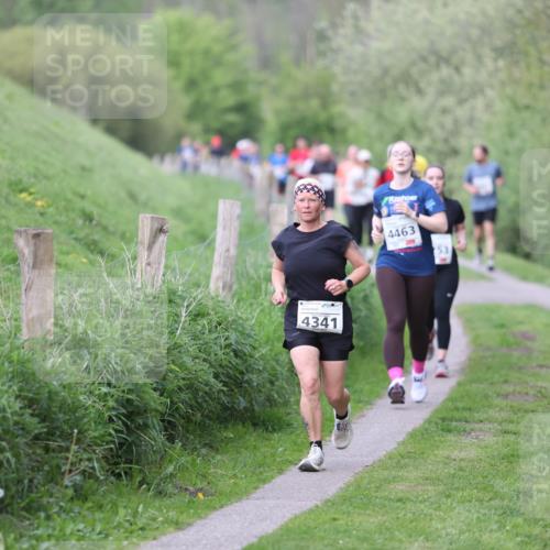 09.05.2026 - Störlauf Andreas Tolksdorf http://msf.ph/oto/9718008 09.05.2026 17:56:35 Laufen 4341, 4463, 4322 meine-sportfotos.de